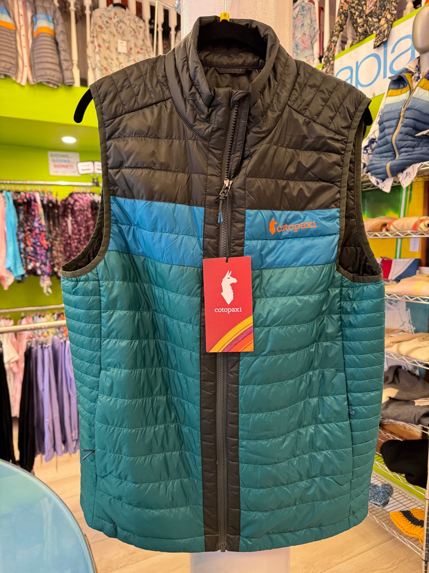 Cotopaxi Men's Puffer Vest, Black and Forest