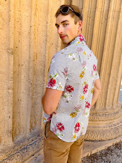 daisy picnic black SS