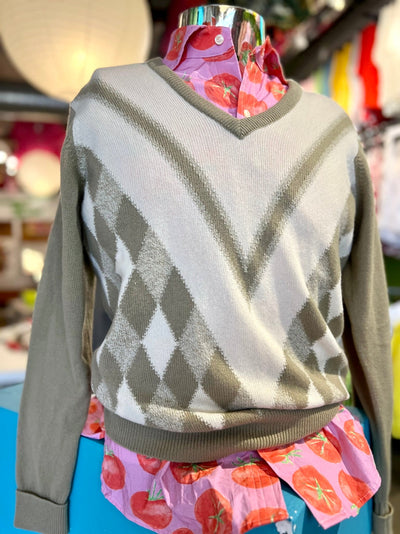 Ballantyne 100% Cashmere V-neck (L/44)