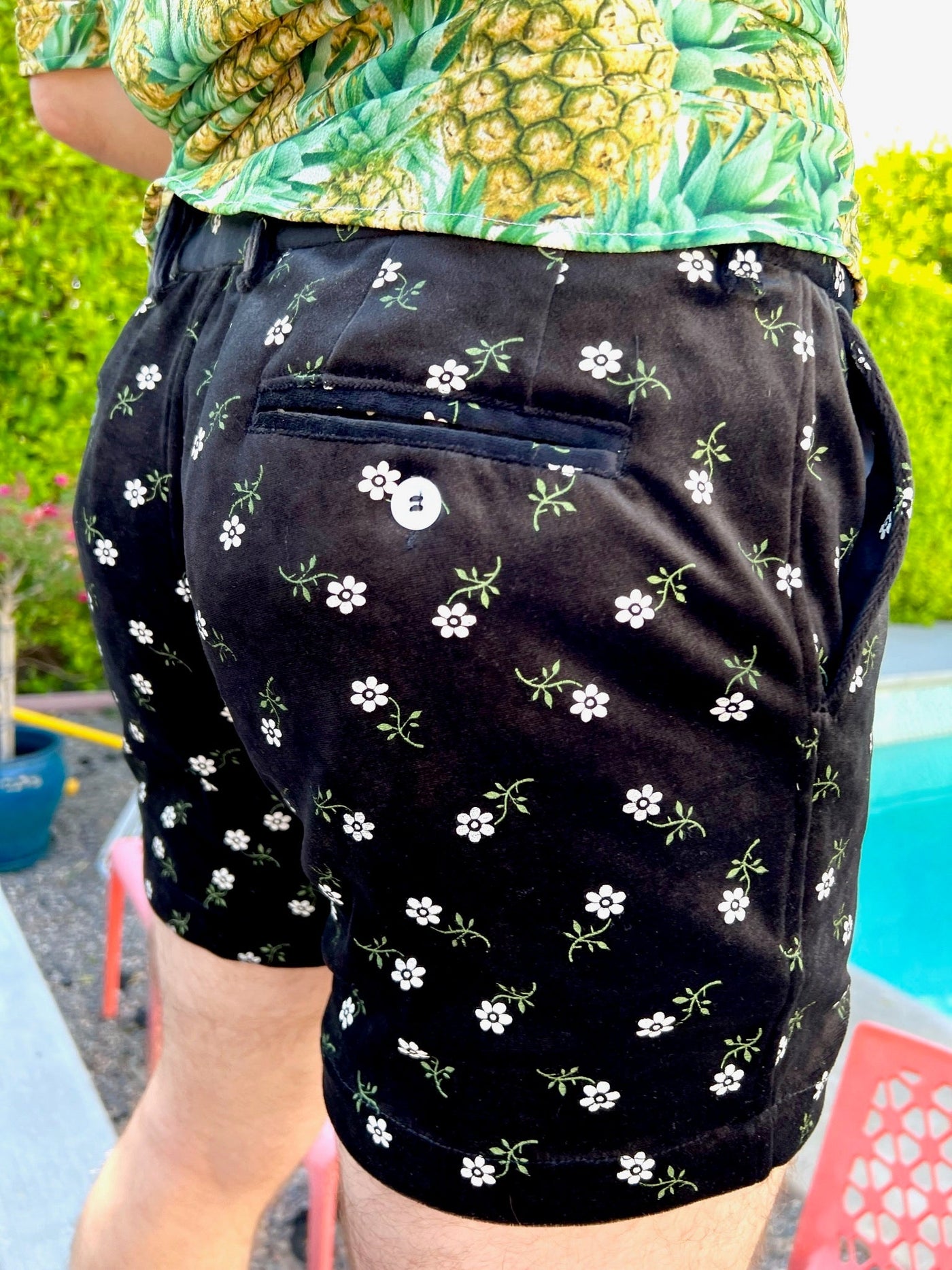 daisy velours short