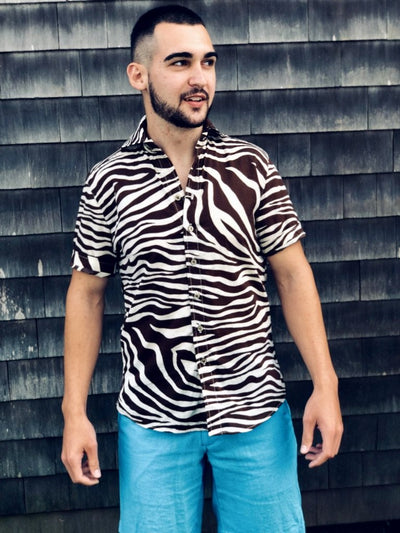 chocolate zebra SS