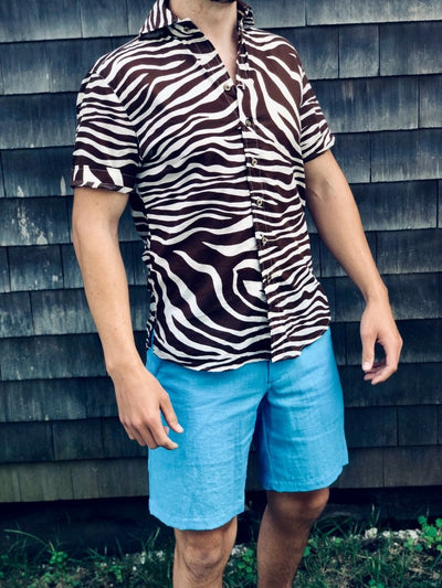 chocolate zebra SS