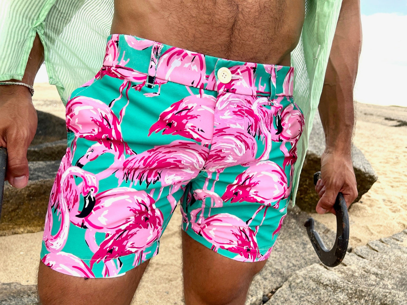 flamingos short