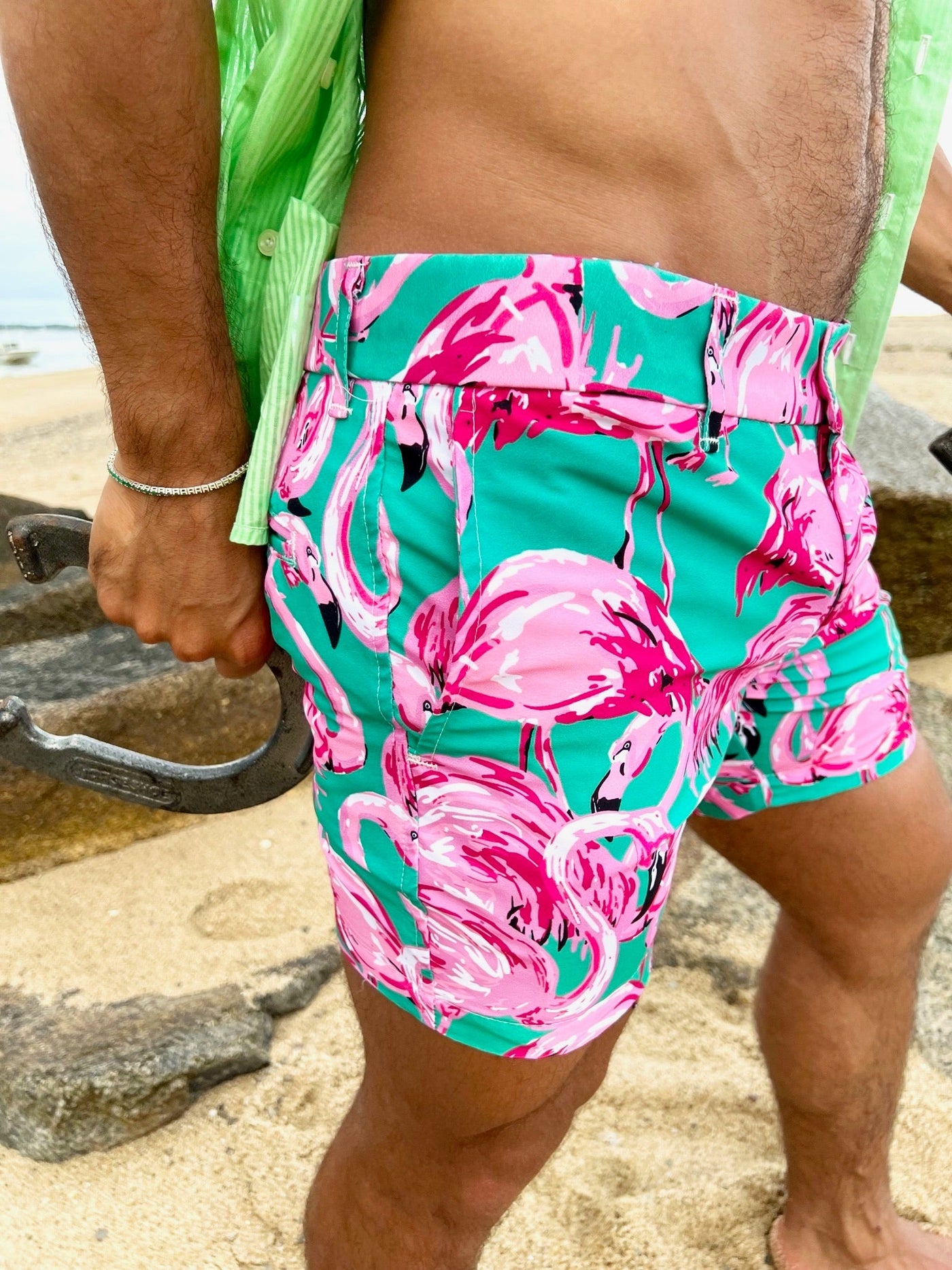 flamingos short