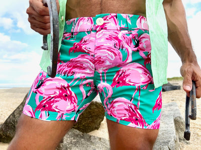 flamingos short