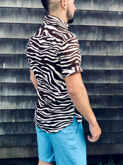 chocolate zebra SS