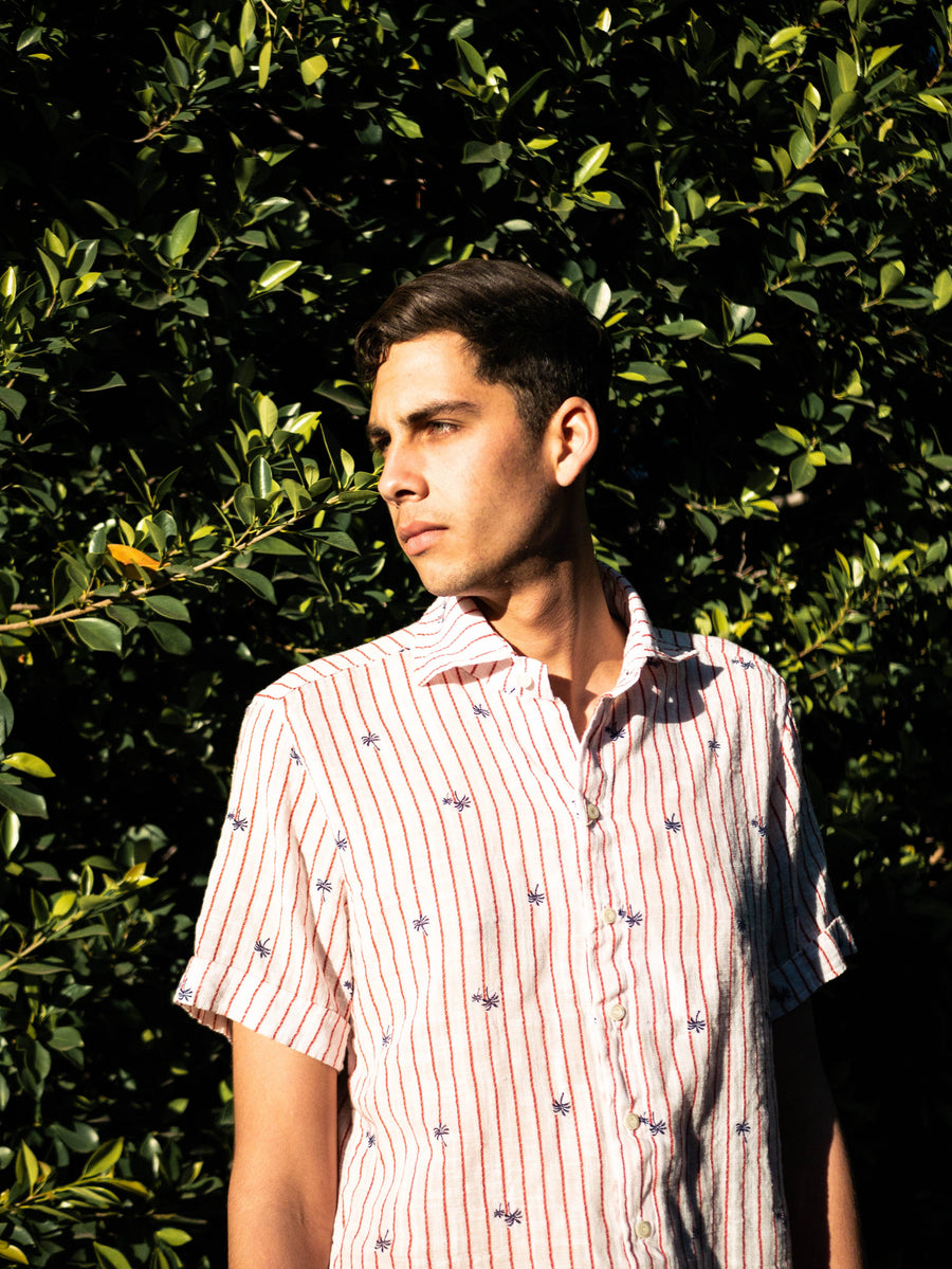 palm linen SS