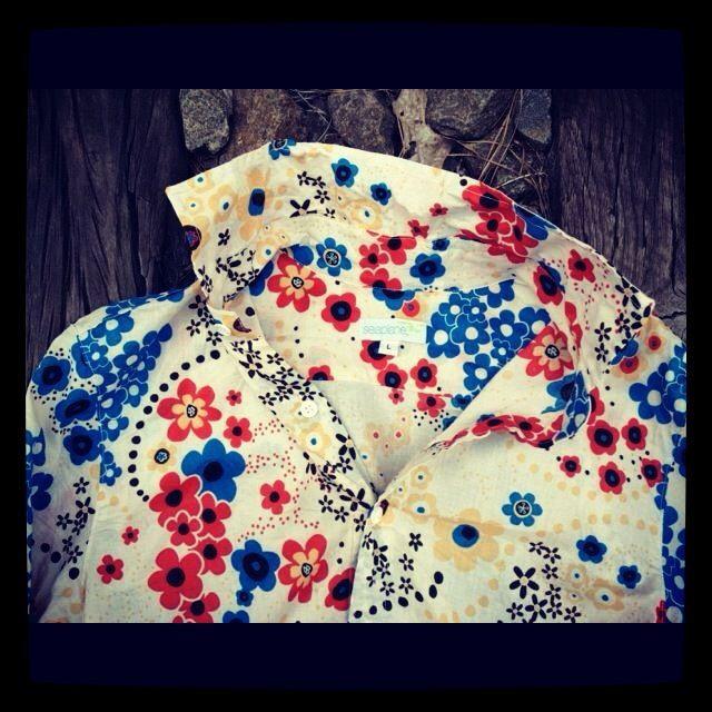 blue daisies