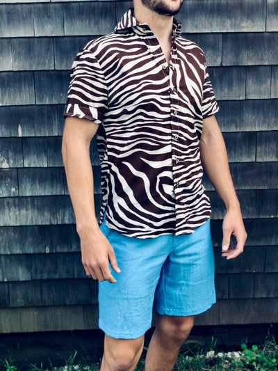 chocolate zebra SS