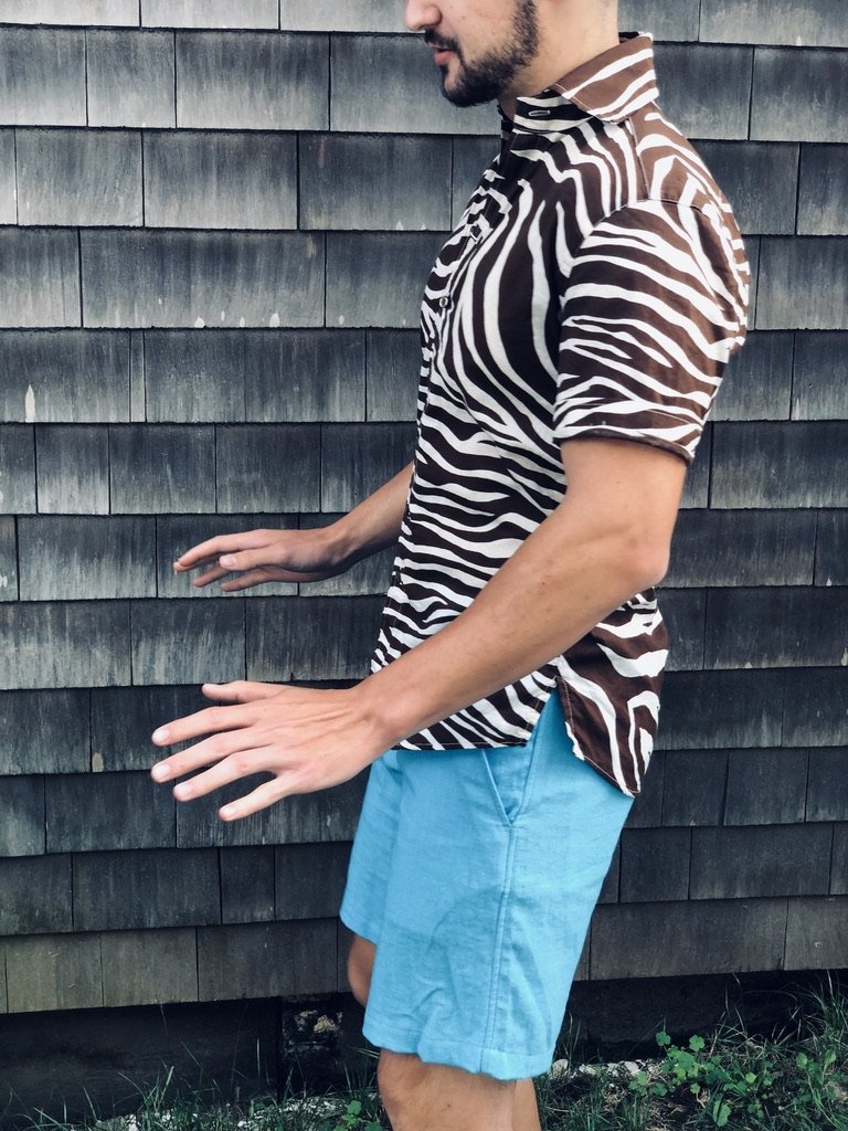 chocolate zebra SS