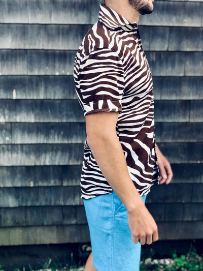 chocolate zebra SS