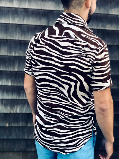 chocolate zebra SS