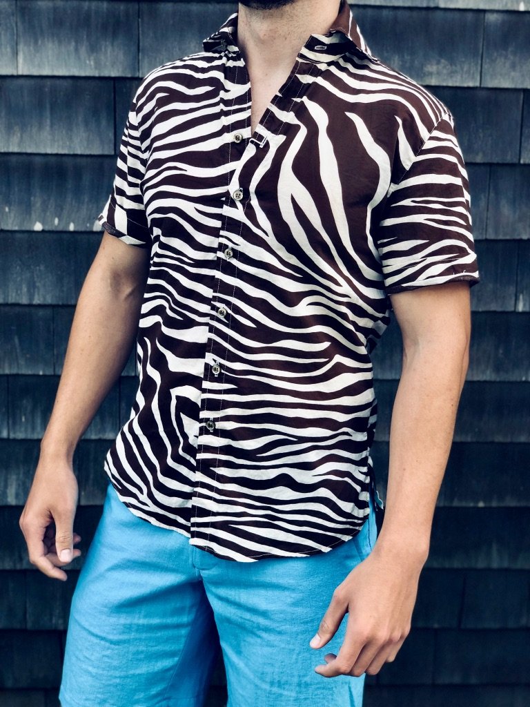 chocolate zebra SS
