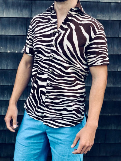 chocolate zebra SS
