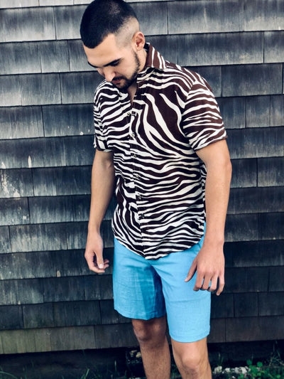 chocolate zebra SS